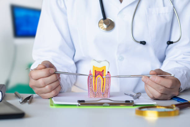 Best Emergency Cosmetic Dentistry (e.g., broken veneers) in Decatur, MI